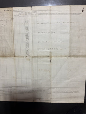 Muster-Out Roll, Eleventh Rhode Island Volunteers