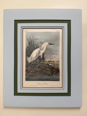 374 Audubon Octavo Treasures - 1st Edition Snowy Egret, matted