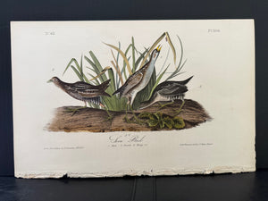 306 Audubon Octavo 1st Edition Sora Rail